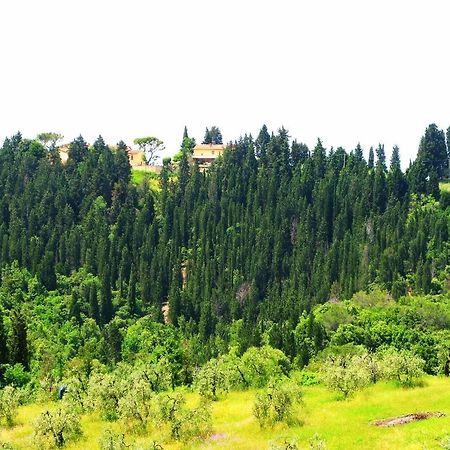 Agriturismo Martignana Alta Empoli Extérieur photo