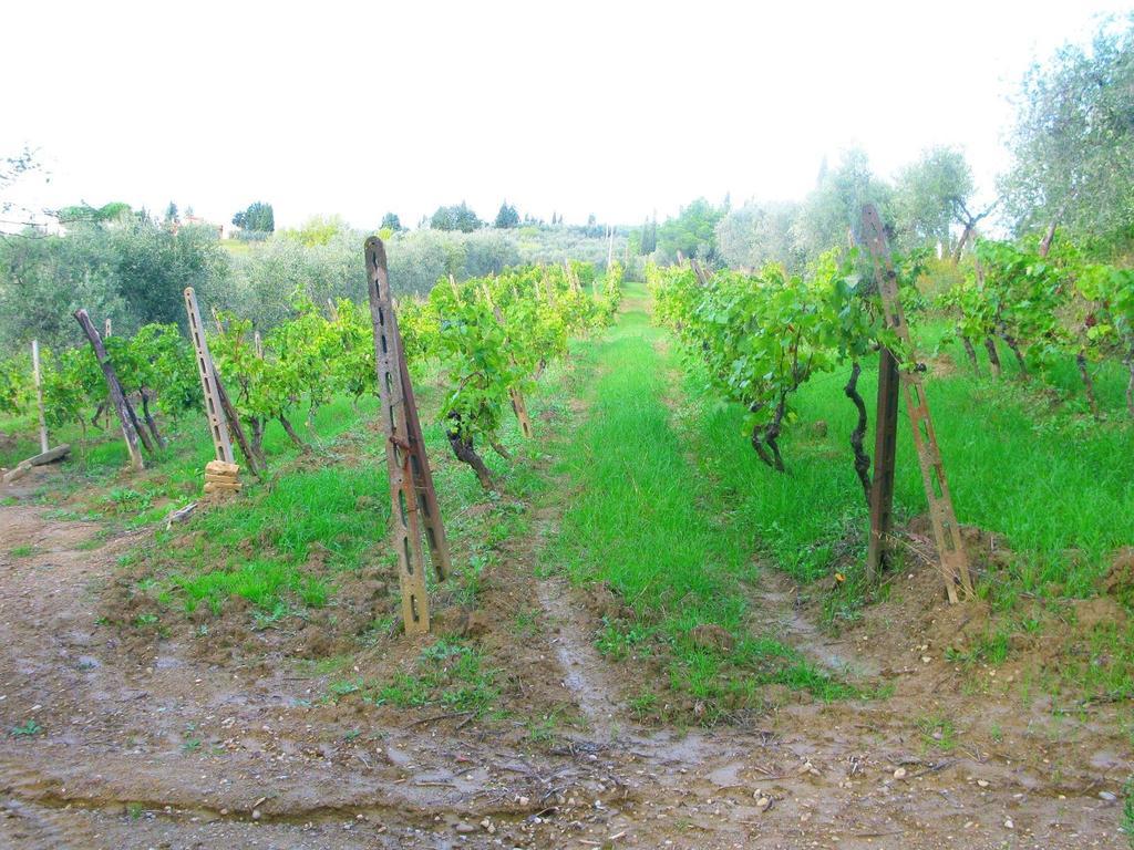 Agriturismo Martignana Alta Empoli Extérieur photo