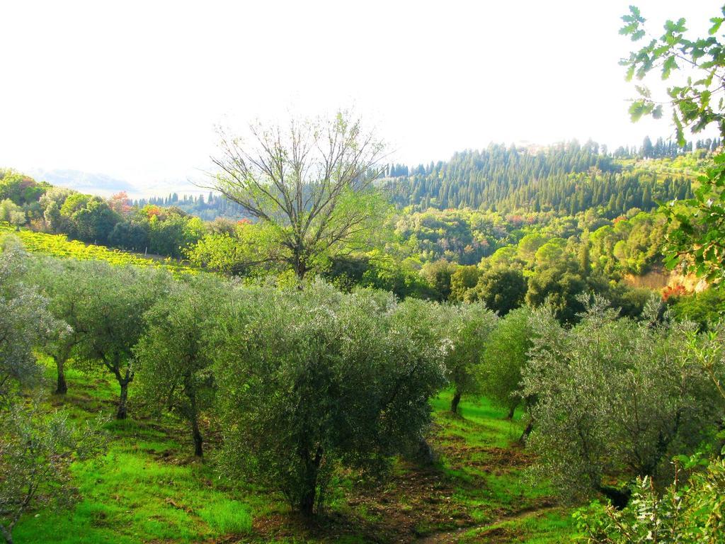 Agriturismo Martignana Alta Empoli Extérieur photo